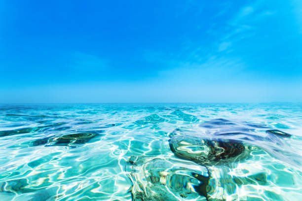 B Lorem ipsum dolor sit amet, consectetur adipiscing elit Integer nec odio