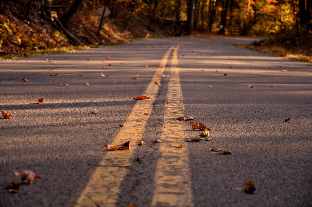 Người đã vội rẽ ngang