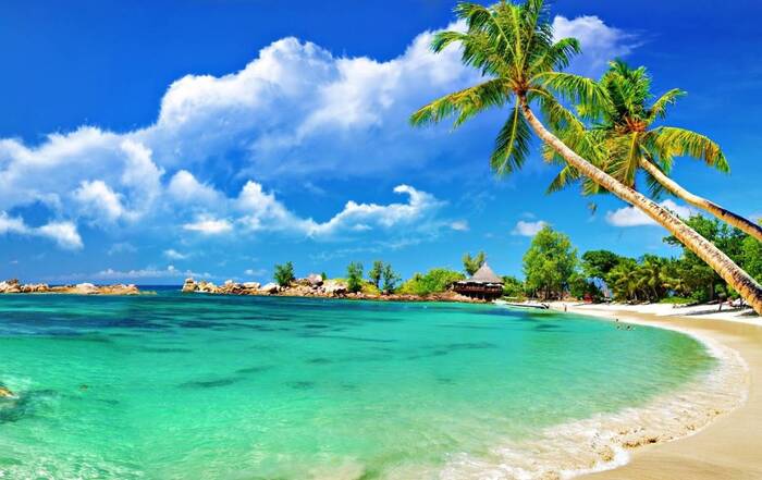 D Lorem ipsum dolor sit amet, consectetur adipiscing elit Integer nec odio